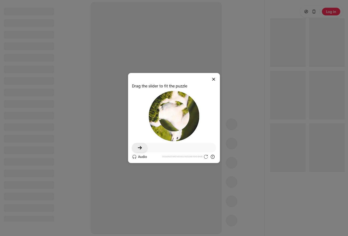 TikTok - Make Your Day