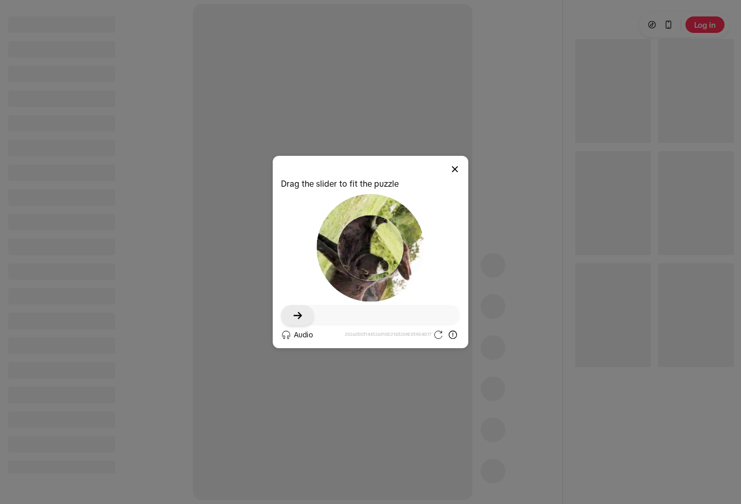 TikTok - Make Your Day