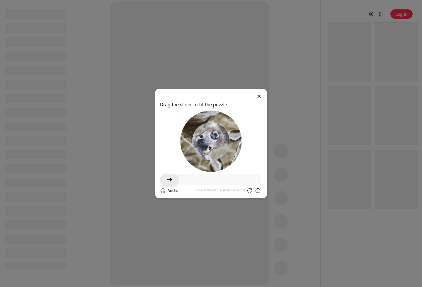 TikTok - Make Your Day