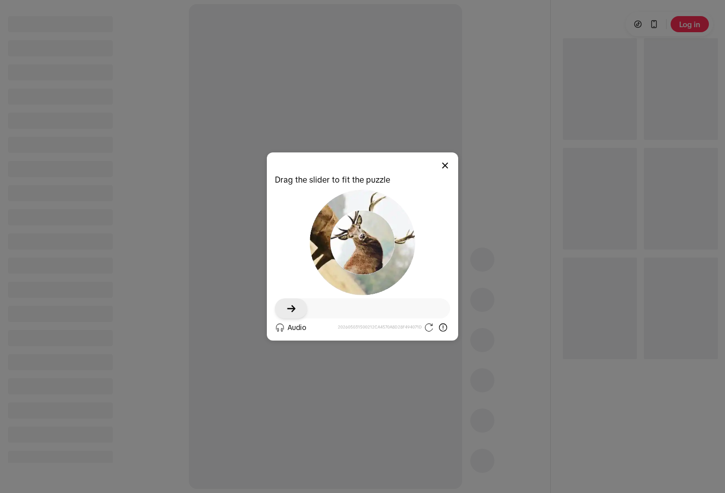 TikTok - Make Your Day