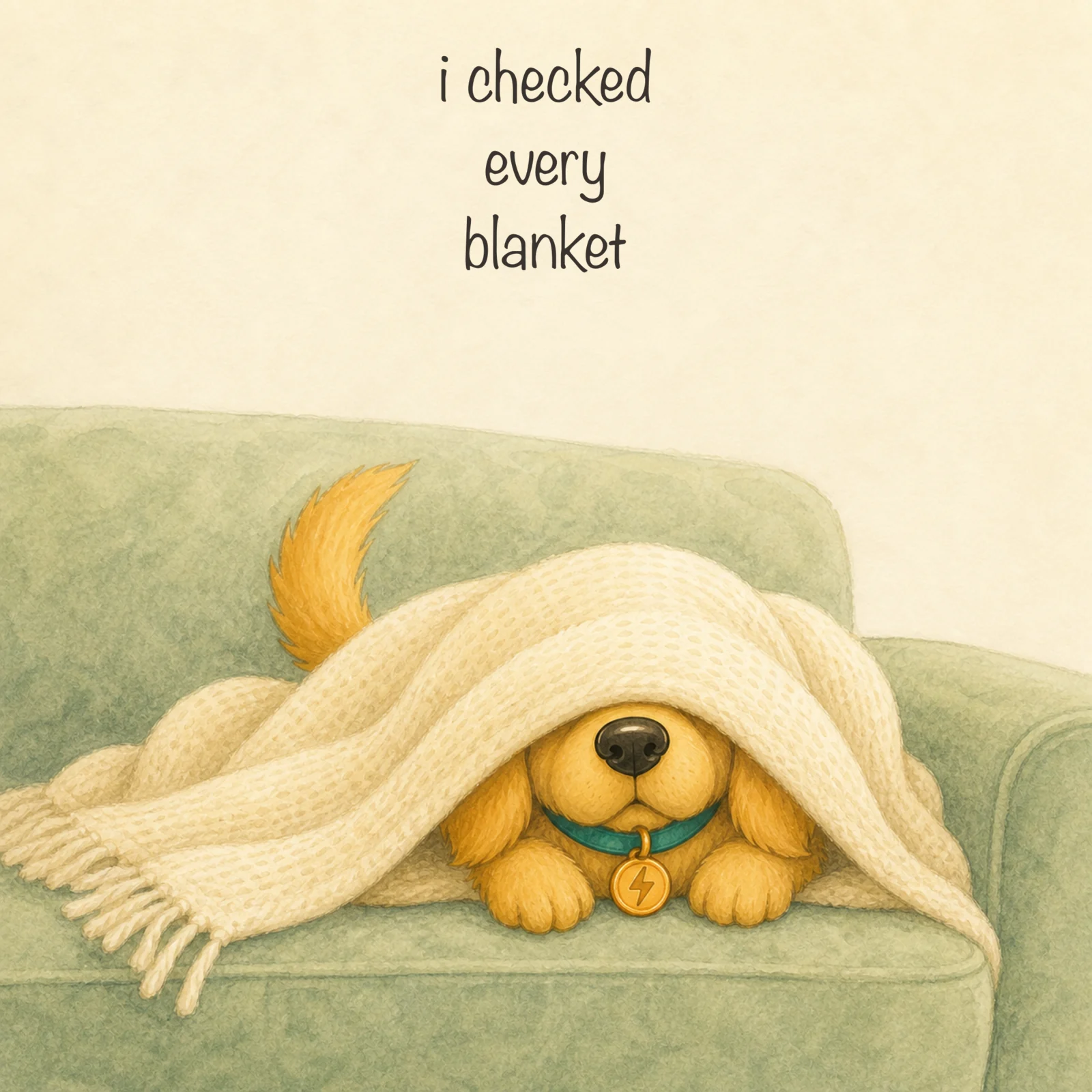 Cover of I Checked Every Blanket